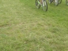 Planeyse 2014 193