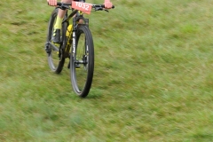 DSC_1976i