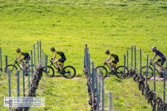 West bike cup 2025 - 1ère manche - course 16.7 km