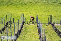 West bike cup 2025 - 1ère manche - course 16.7 km