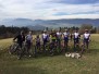 Torrée 2017